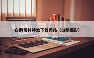 三沙白鹅素材特效下载网站（白鹅摄影）